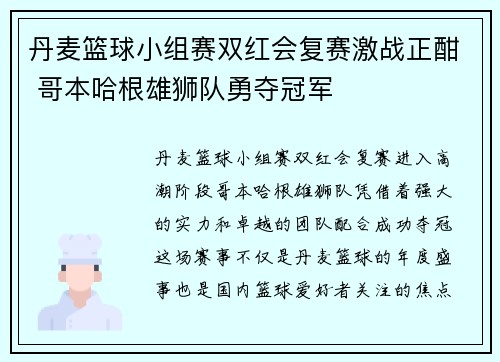 丹麦篮球小组赛双红会复赛激战正酣 哥本哈根雄狮队勇夺冠军